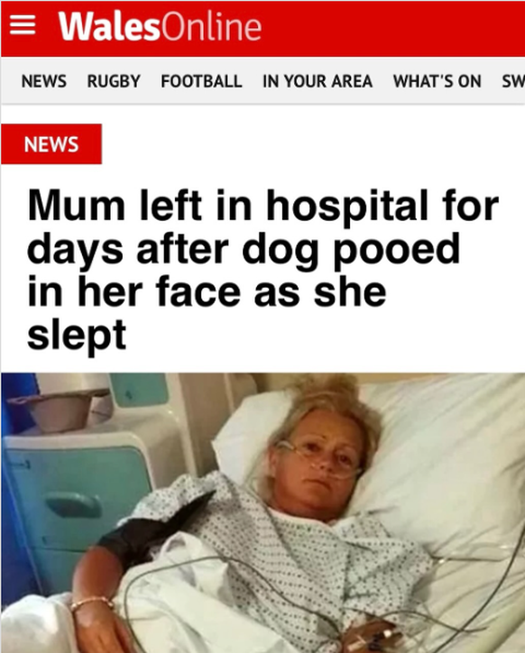 Fail der Woche: Frau muss ins Spital, weil Hund ins Gesicht kackt