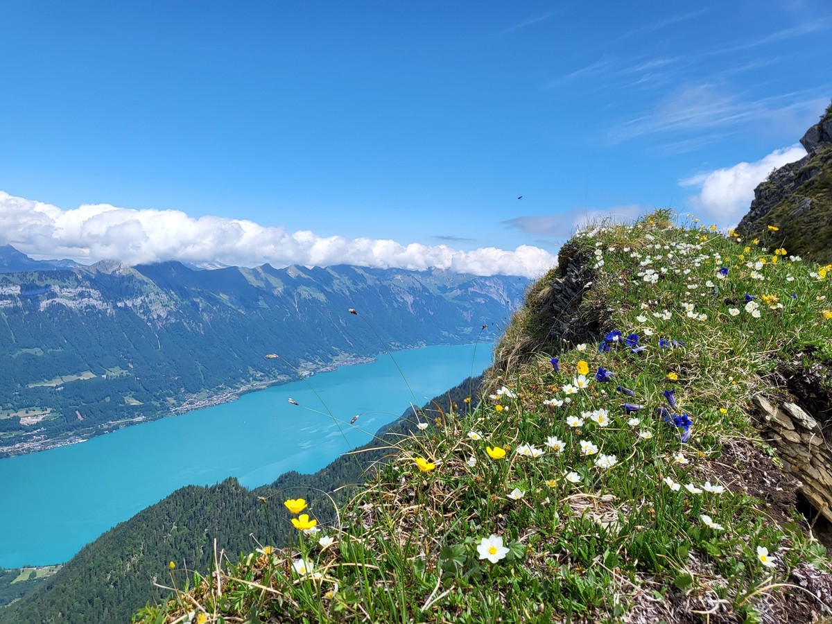 Schynige Platte Rauszeit