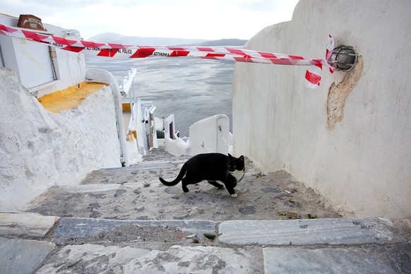 epa11876576 A cat crosses a police cordon in the village of Oia on Santorini island, Greece, 05 February 2025. Due to a wave of seismic activity near Santorini, the municipality advised the emptying o ...