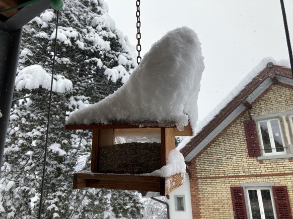 tel: 
email: 
Vogelhüsli in Oerlikon

Von: Willi