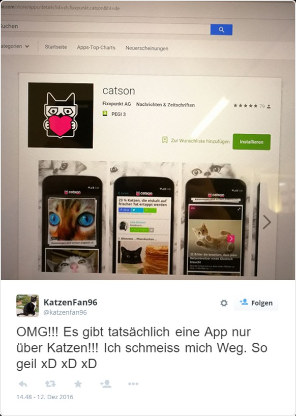 catson Twitter