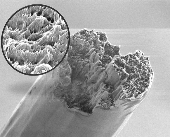 Wissenschaftler haben am Forschungszentrum Desy in Hamburg das stärkste Biomaterial hergestellt, das je produziert worden ist. Die biologisch abbaubaren künstlichen Zellulosefasern seien stärker als S ...