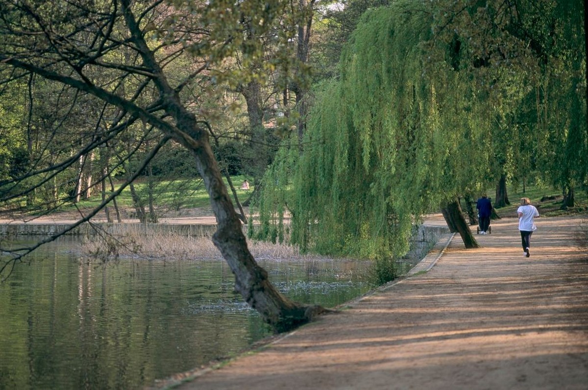 Ile-de-France: Hauts-de-Seine, the forest of La Malmaison and the pond of St. Cucufa. Ile-de-France: Hauts-de-Seine, la forêt de la Malmaison et l'étang de Saint-Cucufa. (Photo by Catherine BIBOL ...