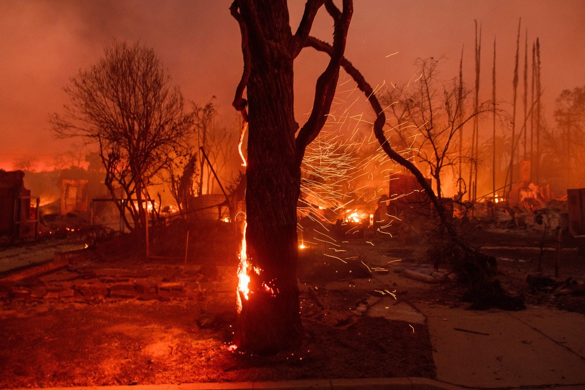 FILE - Embers are blown off a burning tree as the Eaton Fire burns in Altadena, Calif., Jan. 8, 2025. (AP Photo/Nic Coury, File)
Los Angeles Wildfires-Lawsuits