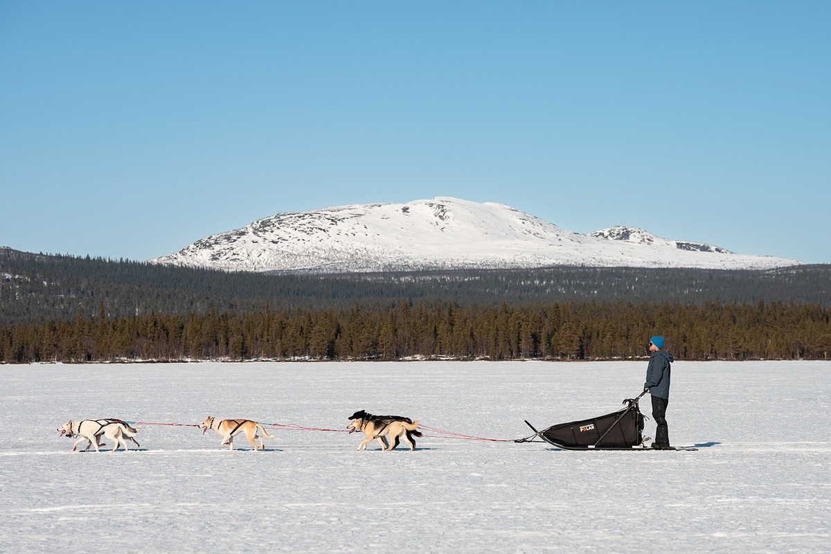 Fjällräven Polar Schlittenhunde Schweden Lappland Reto Fehr