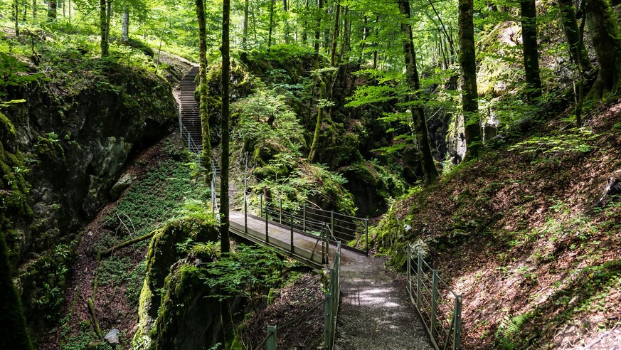 Rauszeit Schluchtenwanderungen Löntschtal