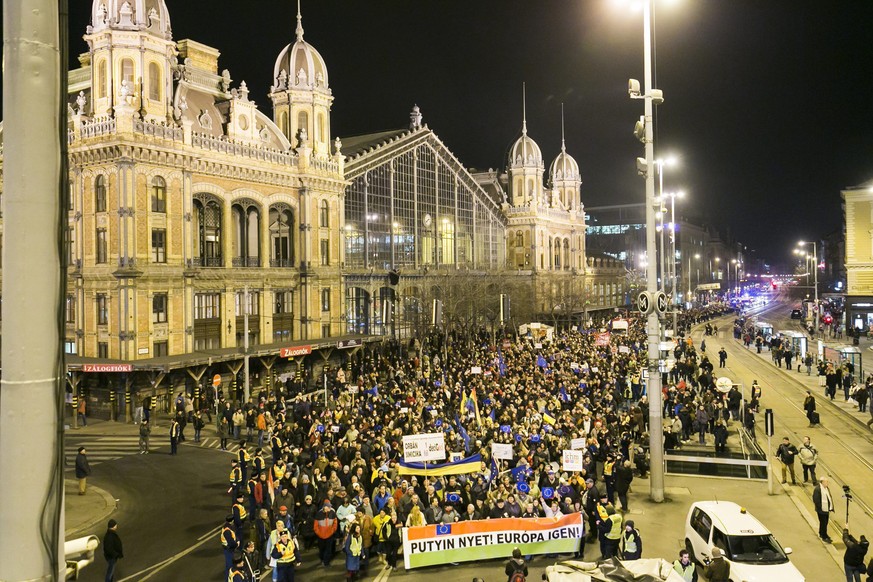 Empfang für Putin: Demonstranten in Ungarns Hauptstadt Budapest.