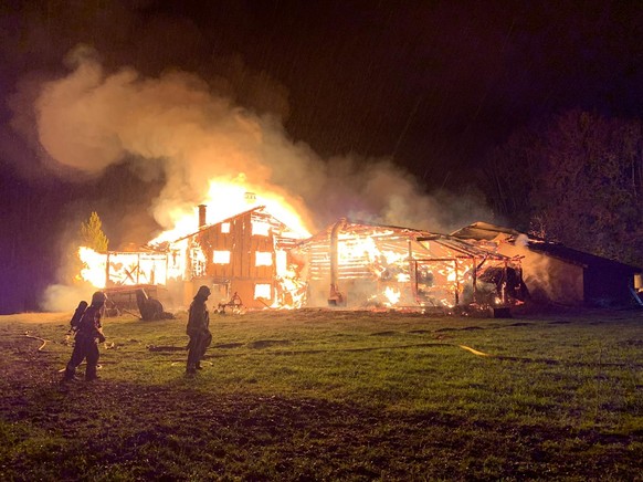 Wohnhaus und Stall im Prättigau abgebrannt: drei Kälber tot