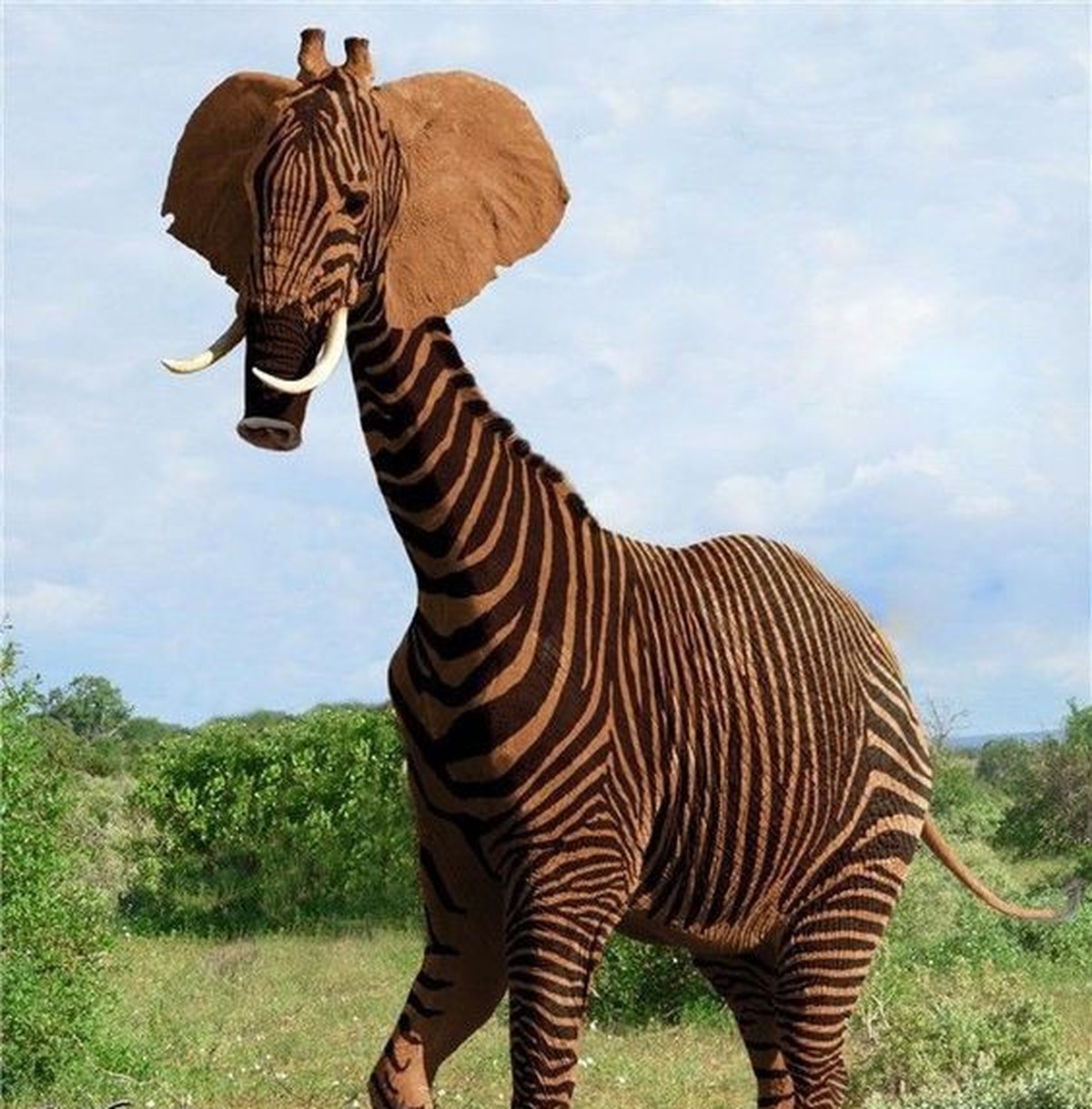 cute news photoshop

https://ch.pinterest.com/pin/1121888957171362082/