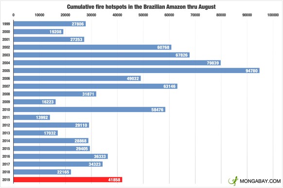 Waldbrände in Brasilien zwischen 1999 und 2019. Datenquelle: INPE.