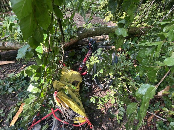 rotes velo mit blauem anhänger beim bözberg während gewitter unter baum begraben