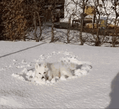 Animiertes GIF