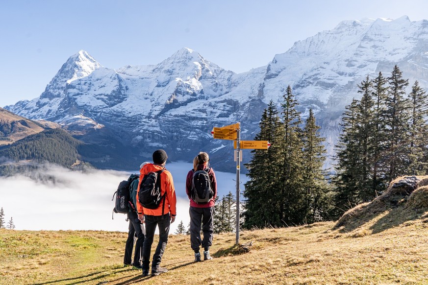 Winteregg Mürren