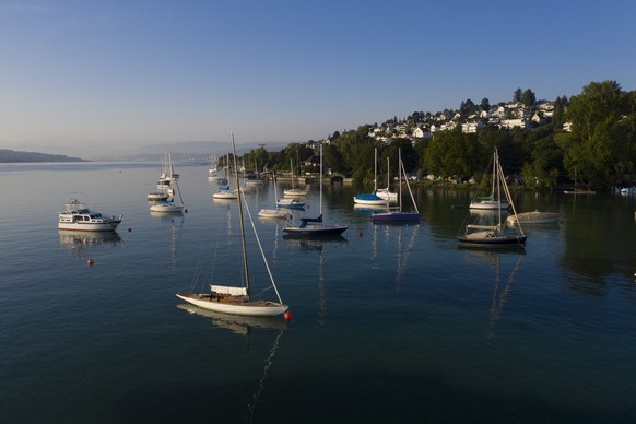 Anchored sailing boats on Lake Zuerich in Wollishofen, in the background residential houses in Kilchberg, Switzerland, on the morning of July 23, 2019. (KEYSTONE/Christian Beutler)

Geankerte Segelboo ...