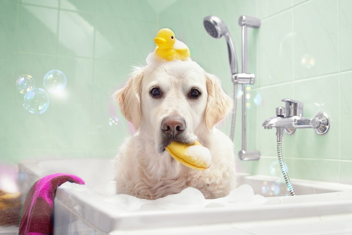 Wellness-Stockfotos Absurd
