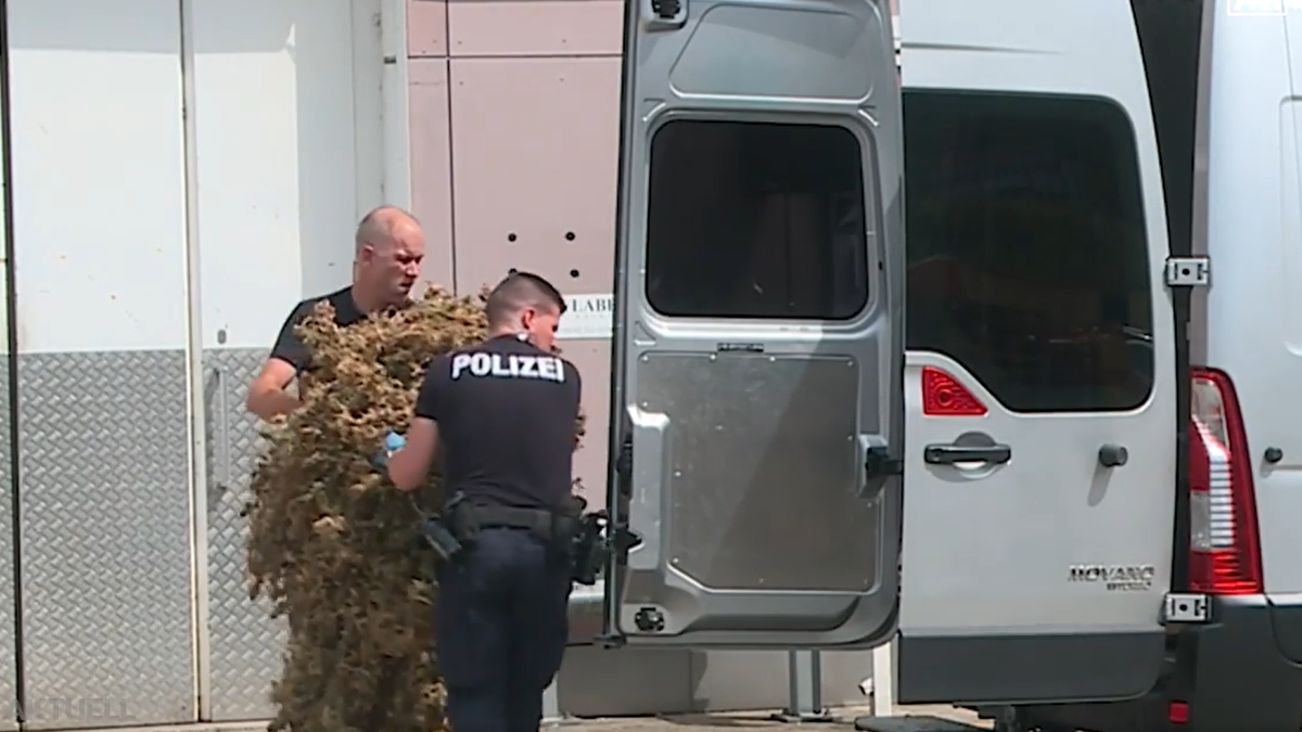 Razzia Olten