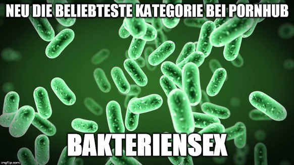Schläfer-Bakterien übergeben Resistenzen beim Sex
