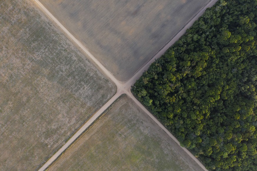 FILE - In this Nov. 30, 2019 file photo, a section of Amazon rainforest stands next to soy fields in Belterra, Para state, Brazil. A decade-long effort by the world to save the world���s disappearing  ...
