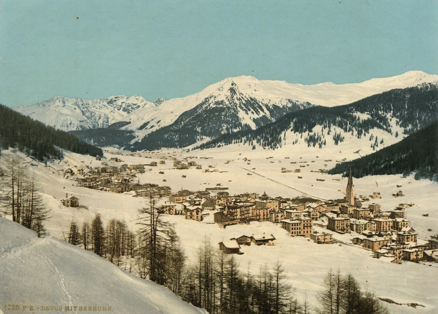 P.Z. Davos mit Seehorn