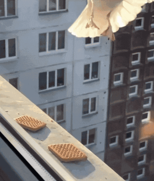 Animiertes GIF