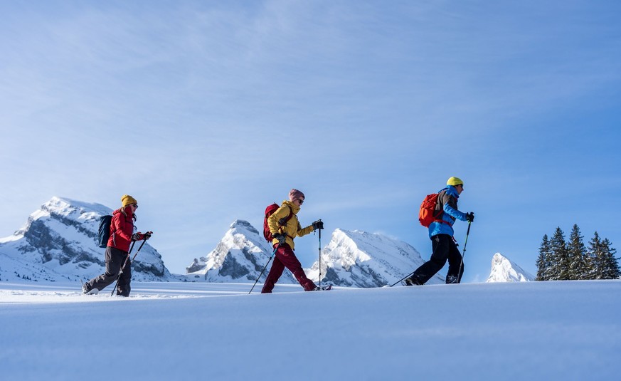 Schneeschuhwandern im oberen Toggenburg Sellamatt