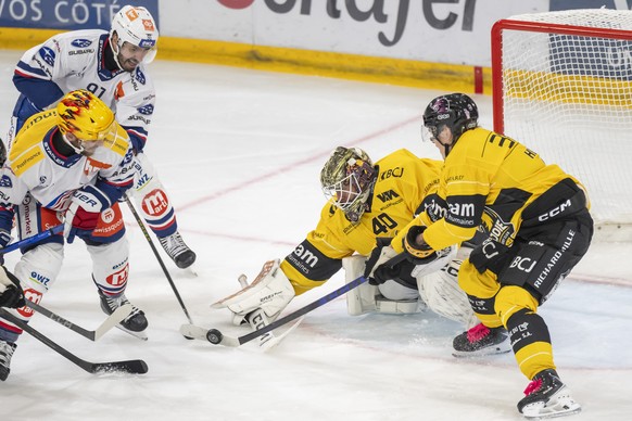 PostFinance Top Scorer Yannick Weber (ZSC) und Denis Hollenstein (ZSC) gegen Torhueter Damiano Ciaccio (HCA) und Anttoni Honka (HCA), von links, im Qualifiaktionsspiel der Eishockey National League zw ...