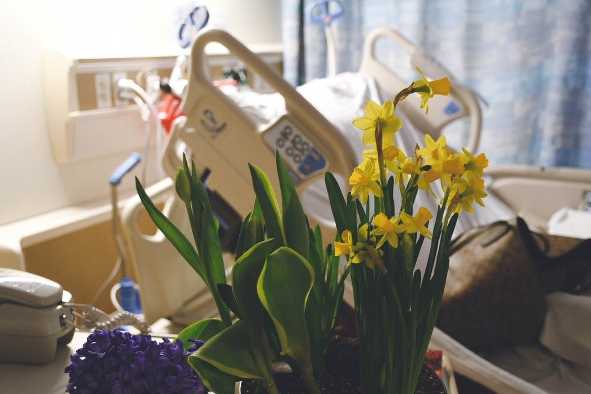Blumen im Spital.