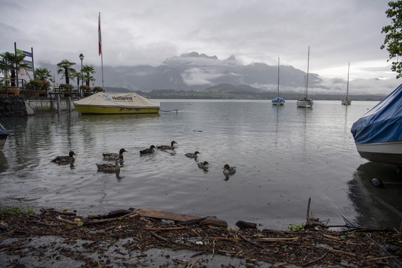 Der Stand des Thunersees reicht fast bis zum Gehsteig, am Dienstag, 13. Juli 2021, in Oberhofen. Der Pegel des Thunersees liegt nur noch wenige Zentimeter unter der Schadensgrenze. (KEYSTONE/Peter Sch ...