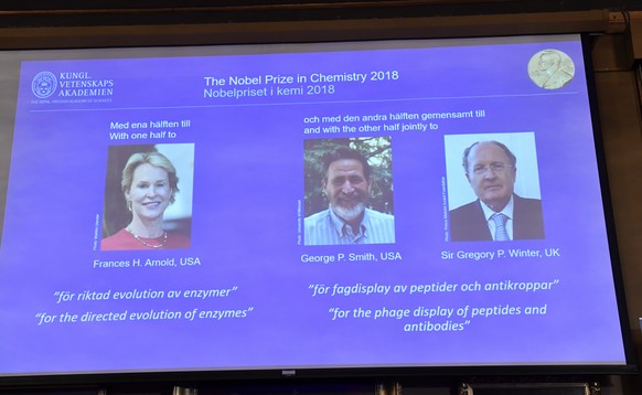 Der Nobelpreis für Chemie geht in diesem Jahr zur Hälfte an Frances Arnold (USA) und zu je einem Viertel an George Smith (USA) und Gregory Winter (Grossbritannien).