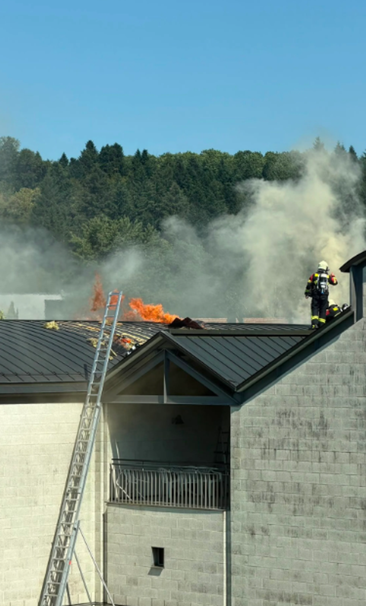 brand dättwill