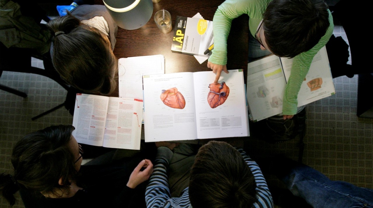 Kürzungen in der Bildung könnten Medizinstudenten treffen, für die der Bundesrat neue Plätze schaffen wollte.