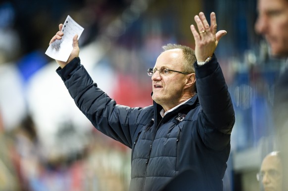 Ein Schwede mit durchzogenem Trainerausweis: Anders Eldebrink.