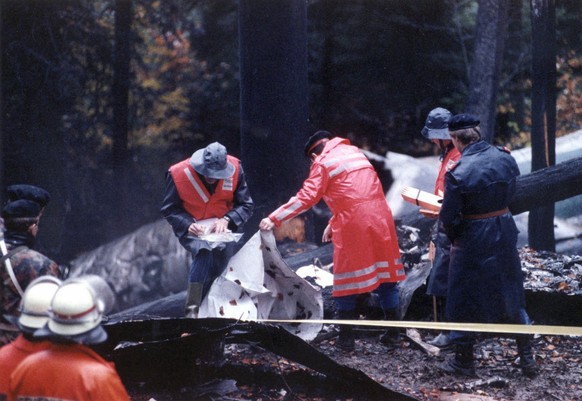 ARCHIVE --- VOR 25 JAHREN, AM 14. NOVEMBER 1990, STUERZTE EIN FLUGZEUG DER ALITALIA BEIM LANDEANFLUG AUF DEN FLUGHAFEN ZUERICH-KLOTEN AM STADLERBERG BEI WEIACH WEGEN DEFEKTER HÖHENMESSINSTRUMENTE AB.  ...