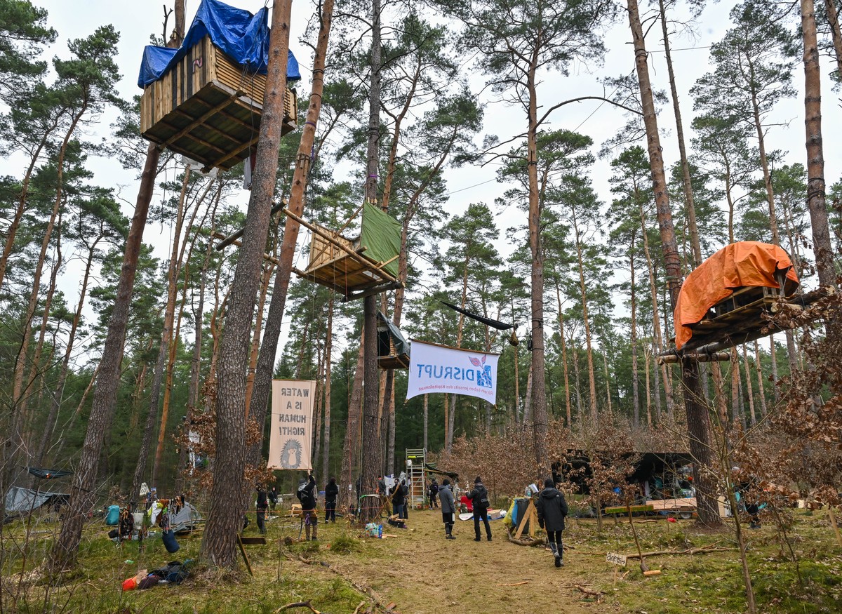 06.03.2024, Brandenburg, Gr�nheide: Baumh�user von Aktivisten der Initiative �Tesla stoppen� in einem Wald nahe der Tesla-Gigafactory Berlin-Brandenburg. In der Tesla-Autofabrik in Gr�nheide steht die ...