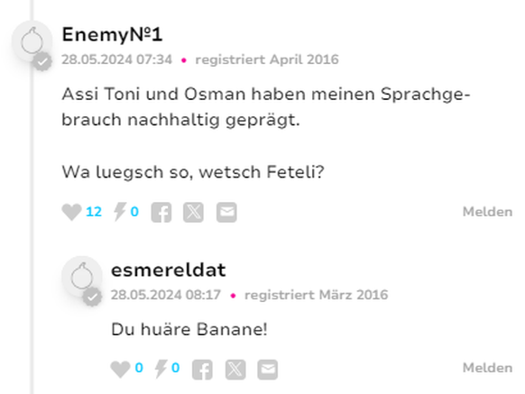 Jungedjargon watson Userinput