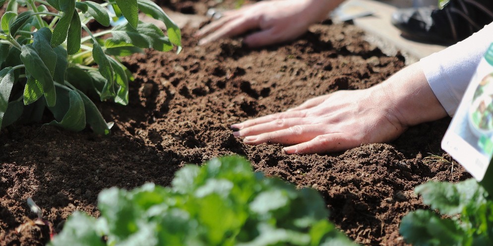 Im Frühling steht Gartenarbeit im Kalender.