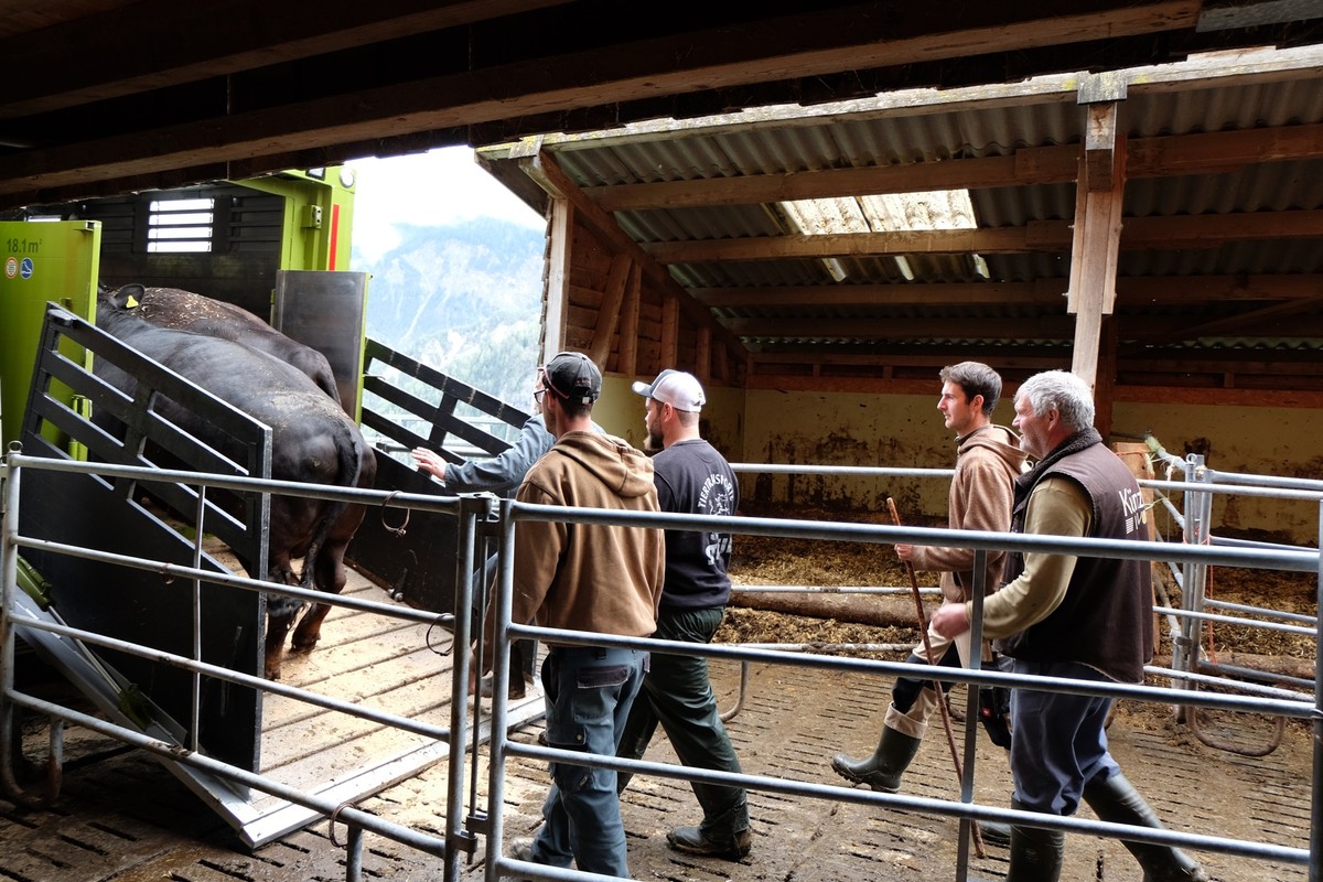 Brienz in Graubünden ein Tag vor der Evakuierung wegen Bergsturz, 11. Mai 2023
