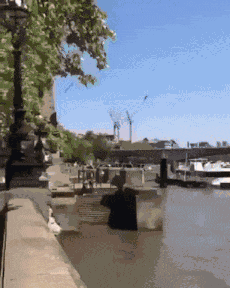 Animiertes GIF