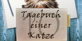 «Liebes Tagebuch, meine Mutter ist an allem schuld!»