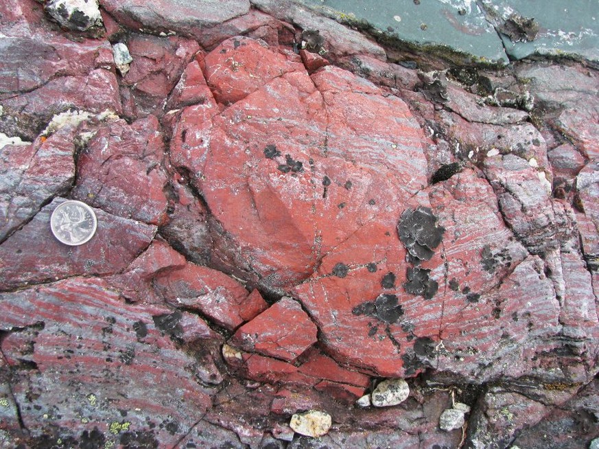 Gestein aus dem Nuvvuagittuq-Grünsteingürtel im nördlichen Kanada
Layer-deflecting bright red concretion of haematitic chert (an iron-rich and silica-rich rock), which contains tubular and filamentous ...