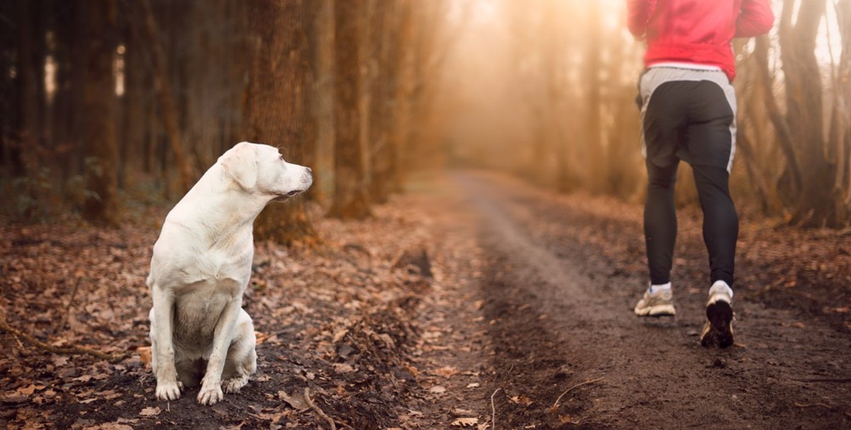 Passiert mir ständig: Hunde, die zur Seite gepfiffen werden, damit ich ohne Bedenken vorbeirennen kann.
