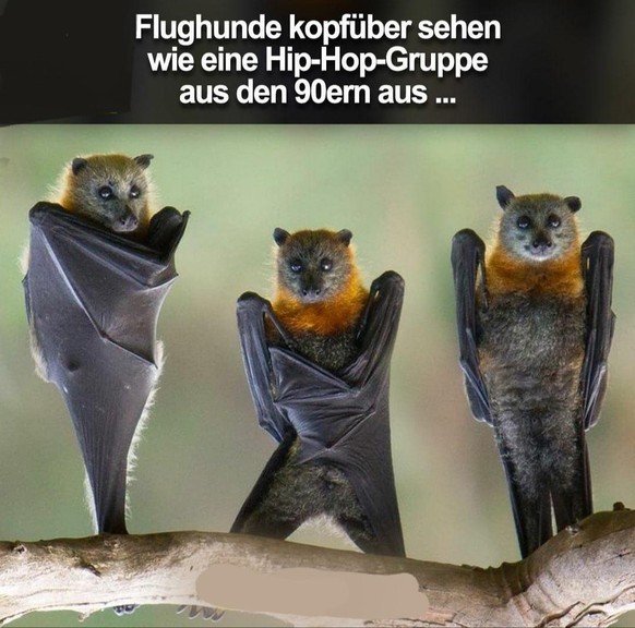 Hereinspaziert! PICDUMP!
Für unsere Fleden/Flunden Freunde.