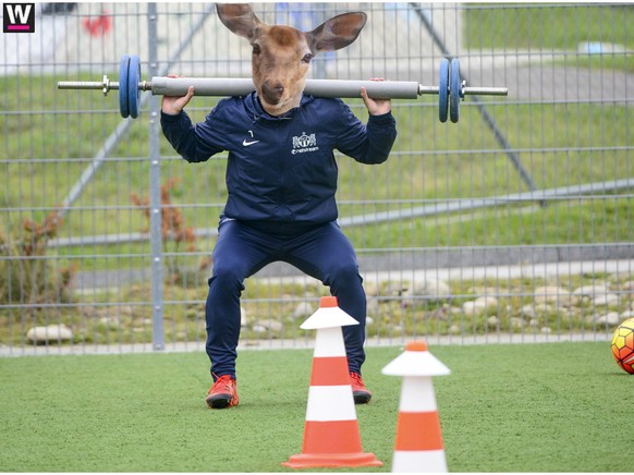 Und siehe da: Heliane Canepa hat den Goalgetter bereits ins Probetraining eingeladen. Dieses Foto wurde am Dienstagmorgen auf dem FCZ-Trainingsgelände in Zürich Brunau aufgenommen.&nbsp;