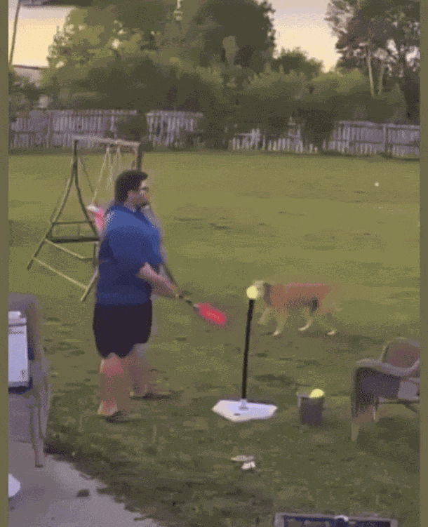 Animiertes GIF