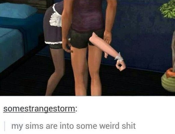 Memes zu 25 Jahre: die Sims