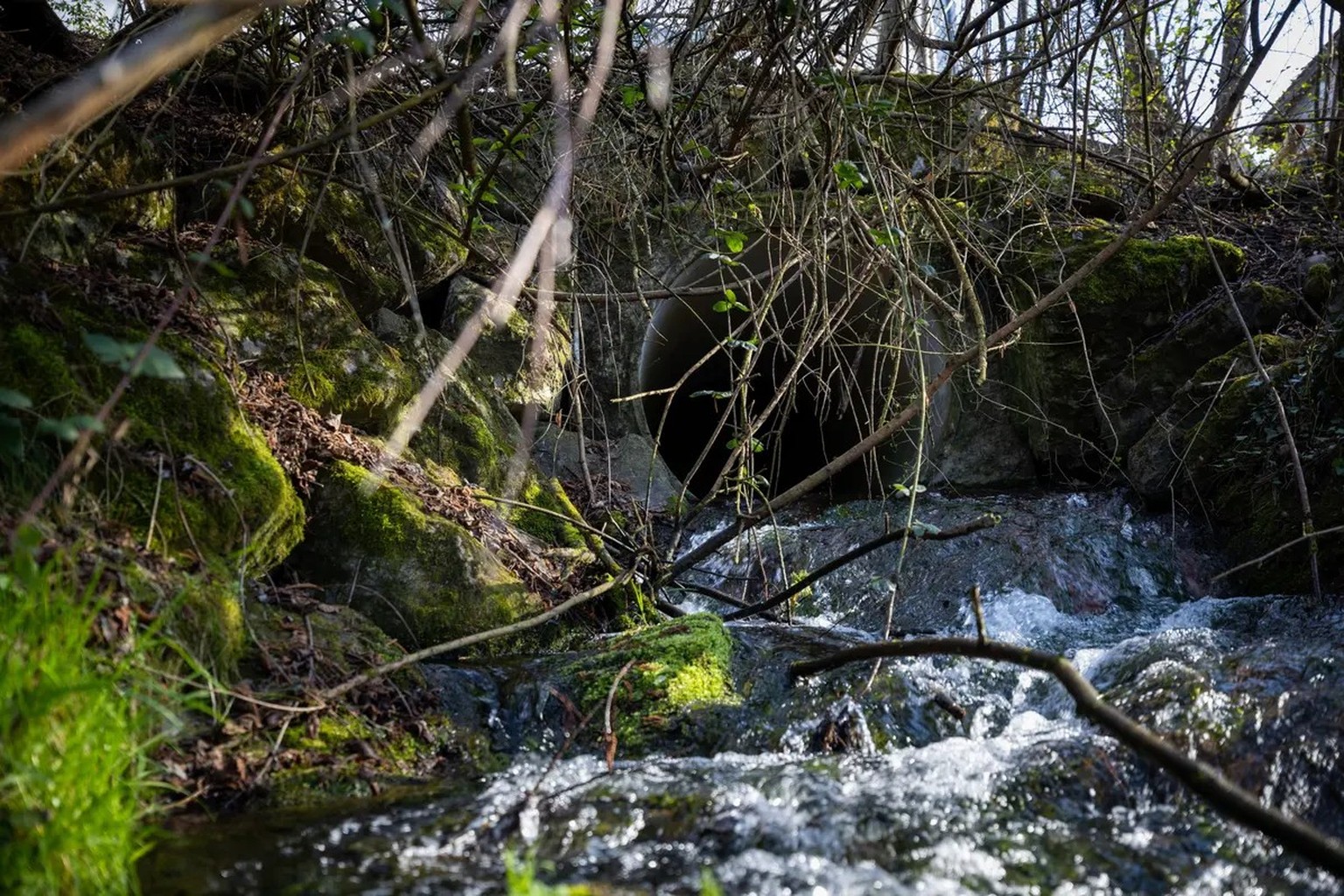 Aus diesem Kanal floss ungeklärter Löschschaum in die Goldach