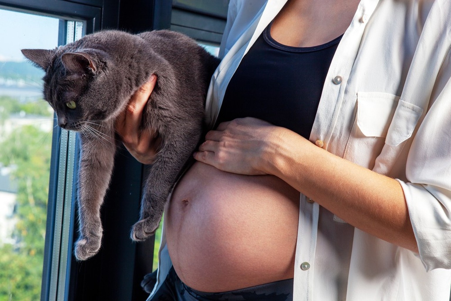 Schwangere Frau mit Katze