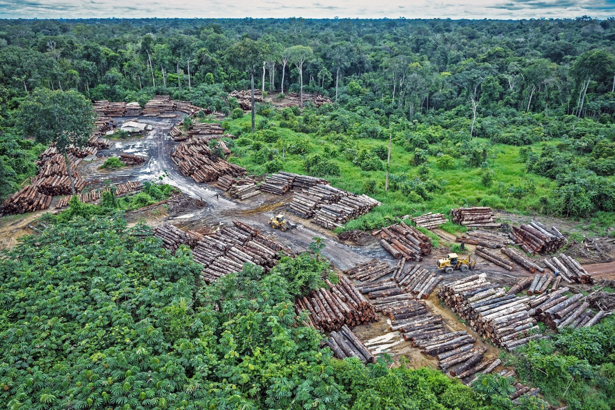 Entwaldung im Land des indigenen Volkes Pirititi im Bundesstaat Rondônia, Brasilien. 
https://infoamazonia.org/en/2023/03/21/deforestation-in-the-amazon-past-present-and-future/