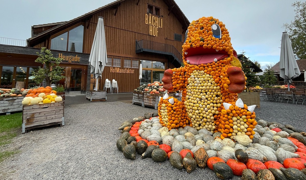 Bächlihof Kürbisaussellung 2022 Rauszeit Glumanda