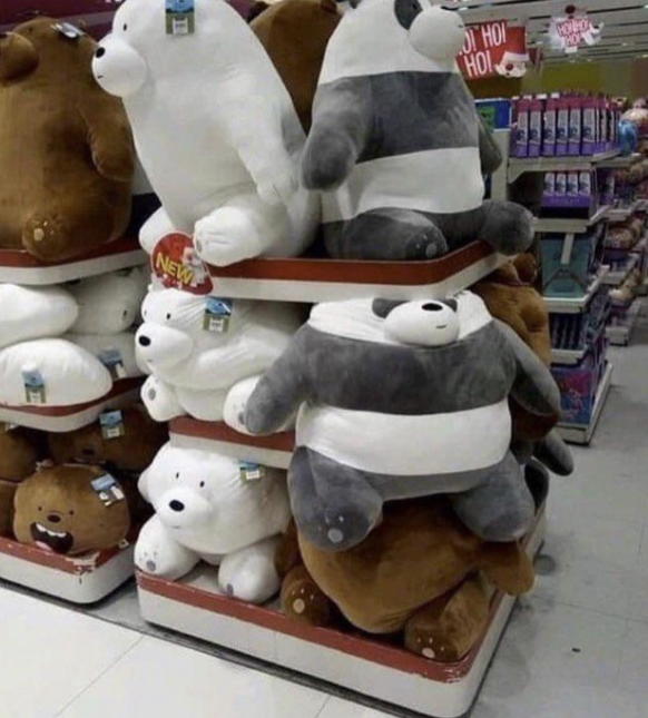 Die lustigsten Fails der Woche: Bär